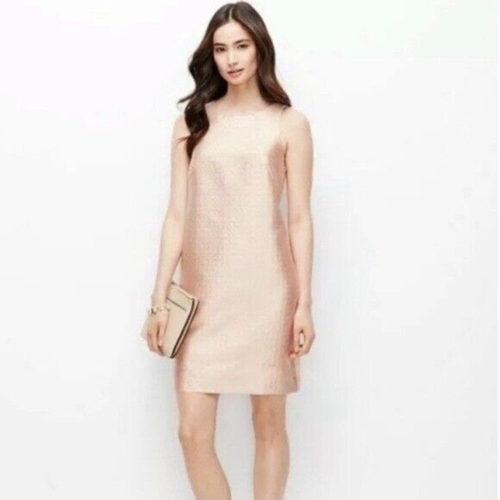 ANN TAYLOR | Blush Pink Gold Cocktail Shift Dress
